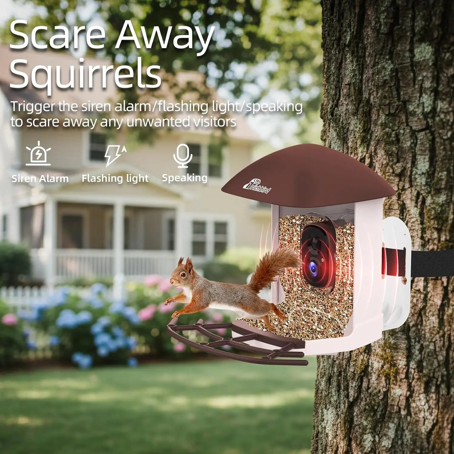 Solar Bird Feeder Camera