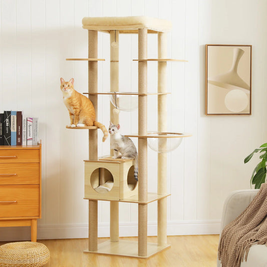 Multi-Level Cat Tree