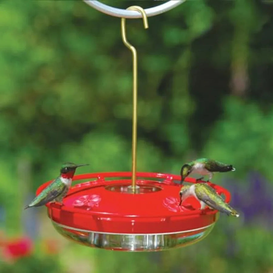 Hanging Hummingbird Feeder -  Red 12 oz Pack of 2