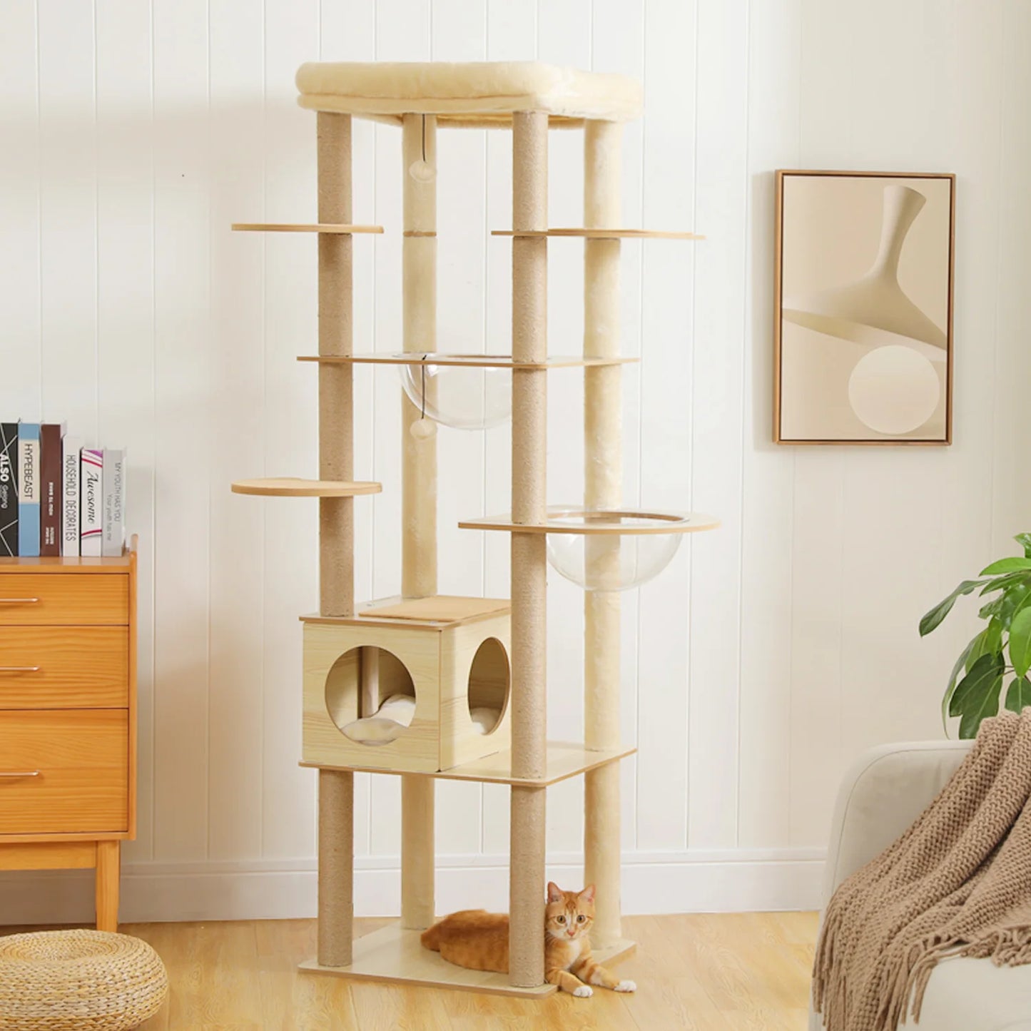 Multi-Level Cat Tree