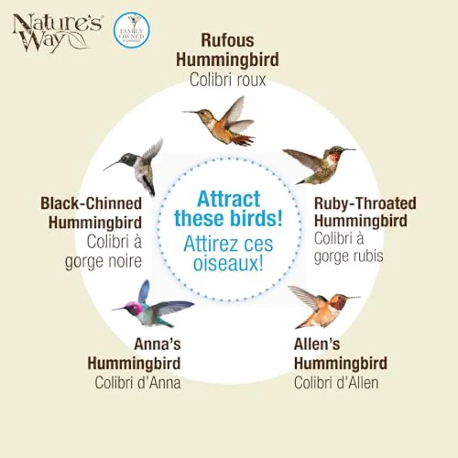 6 Mason Jar Hummingbird Feeders 6 Oz