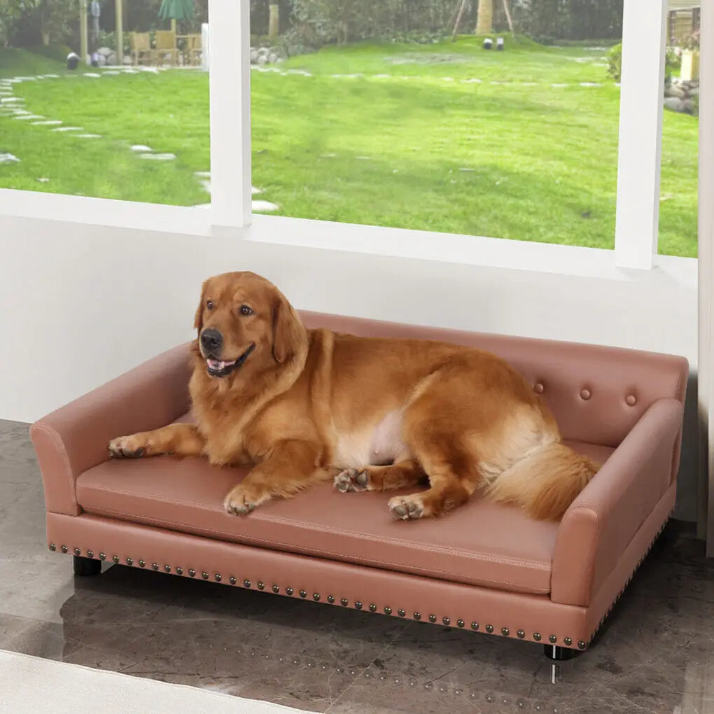 L-XL Luxury Raised Dog Sofa Couch