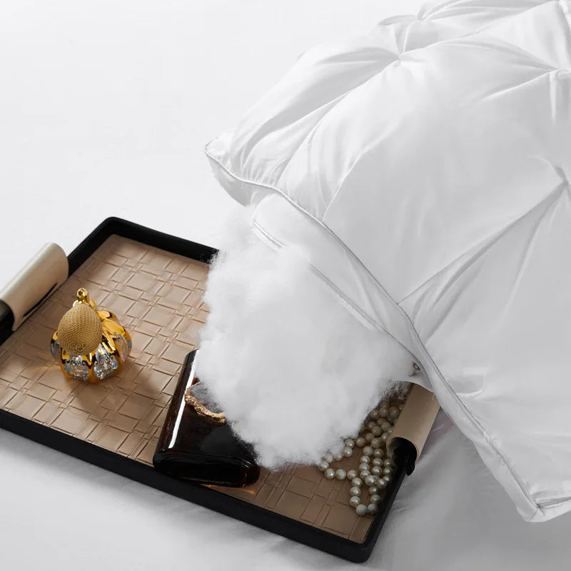 2-Piece Sleep Pillow Set