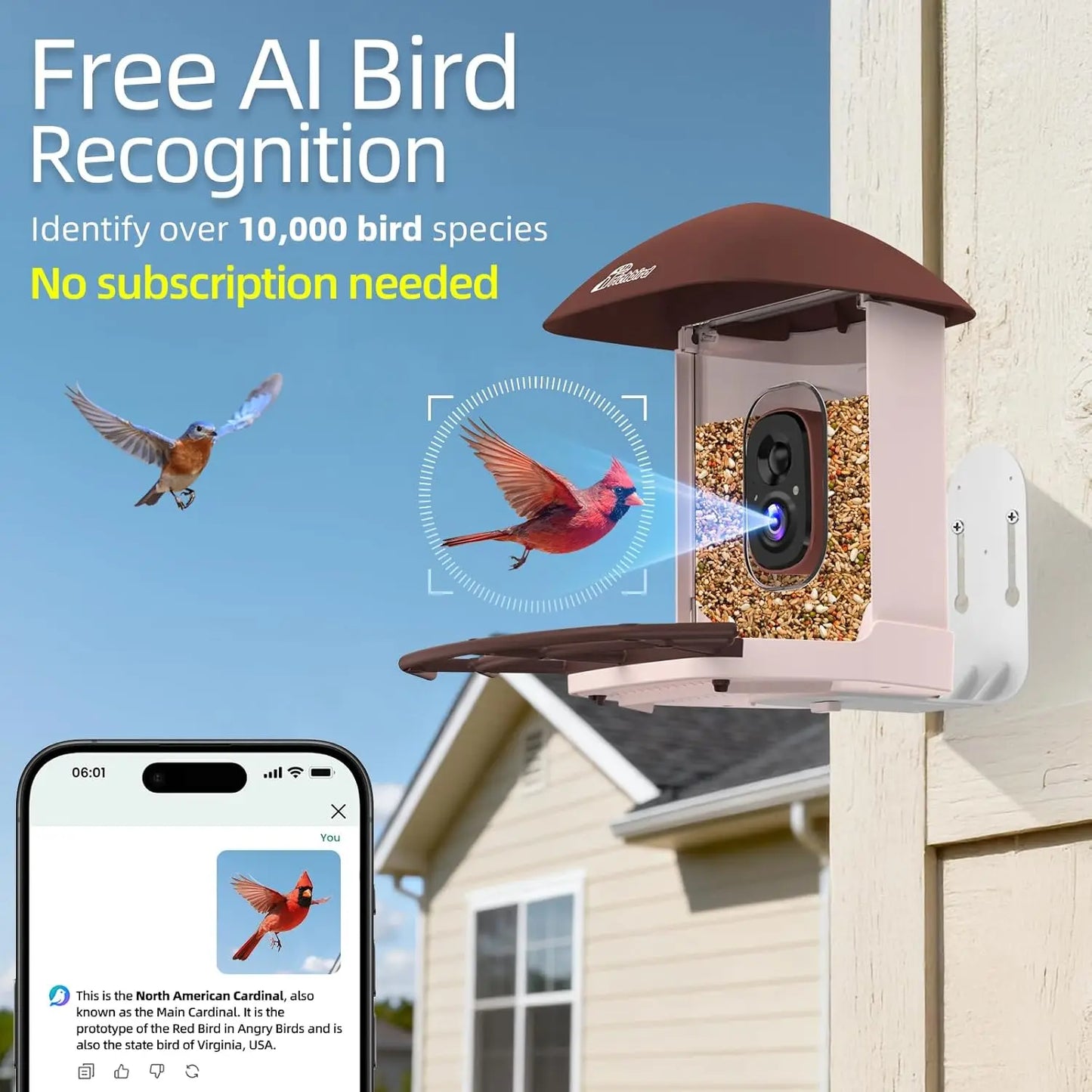 Solar Bird Feeder Camera