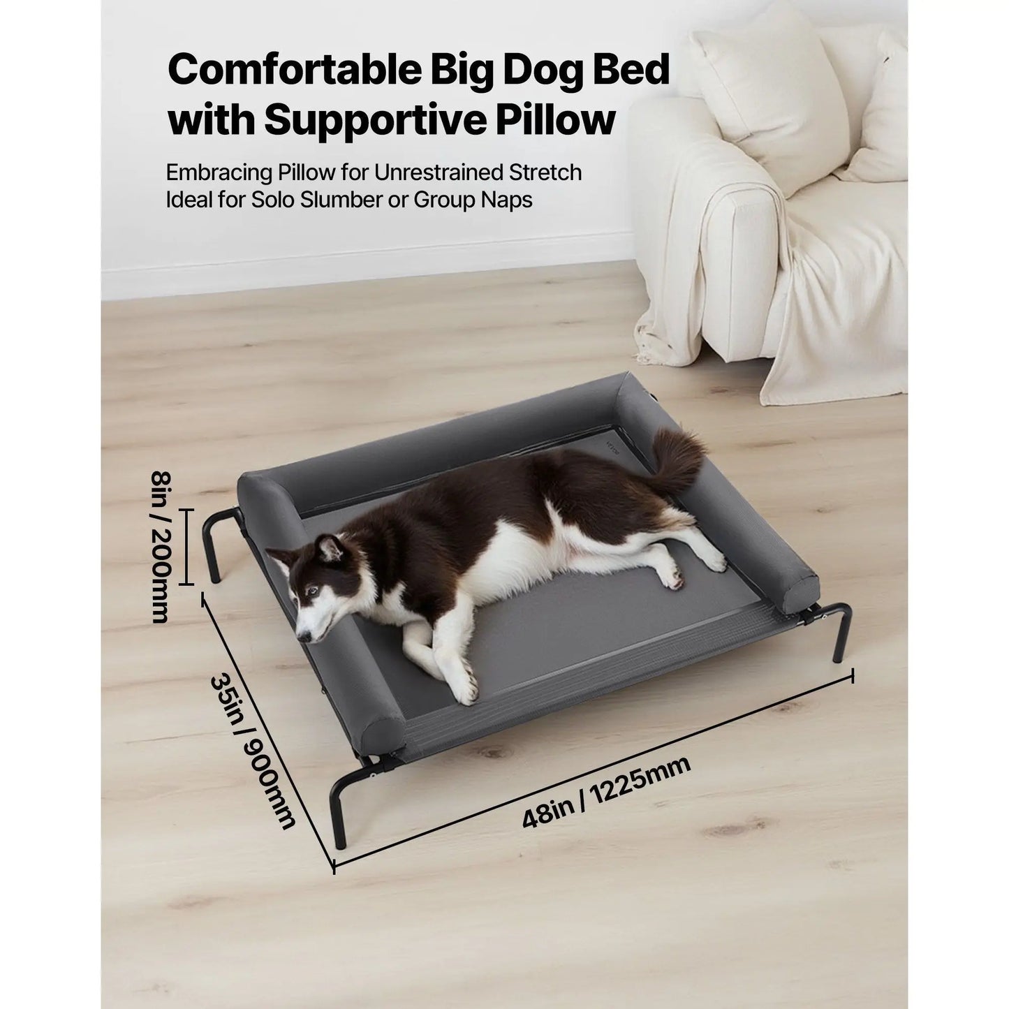 Elevated Dog Bed with Breathable Mesh