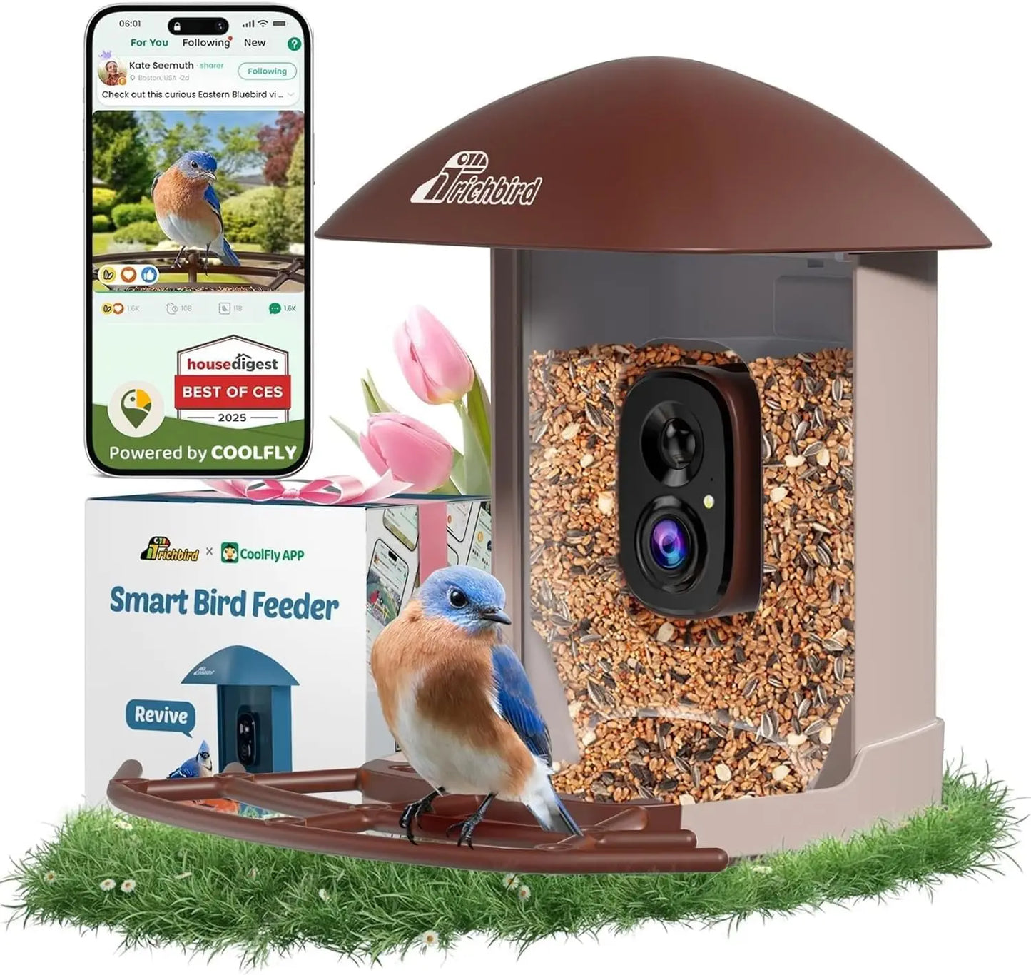 Solar Bird Feeder Camera