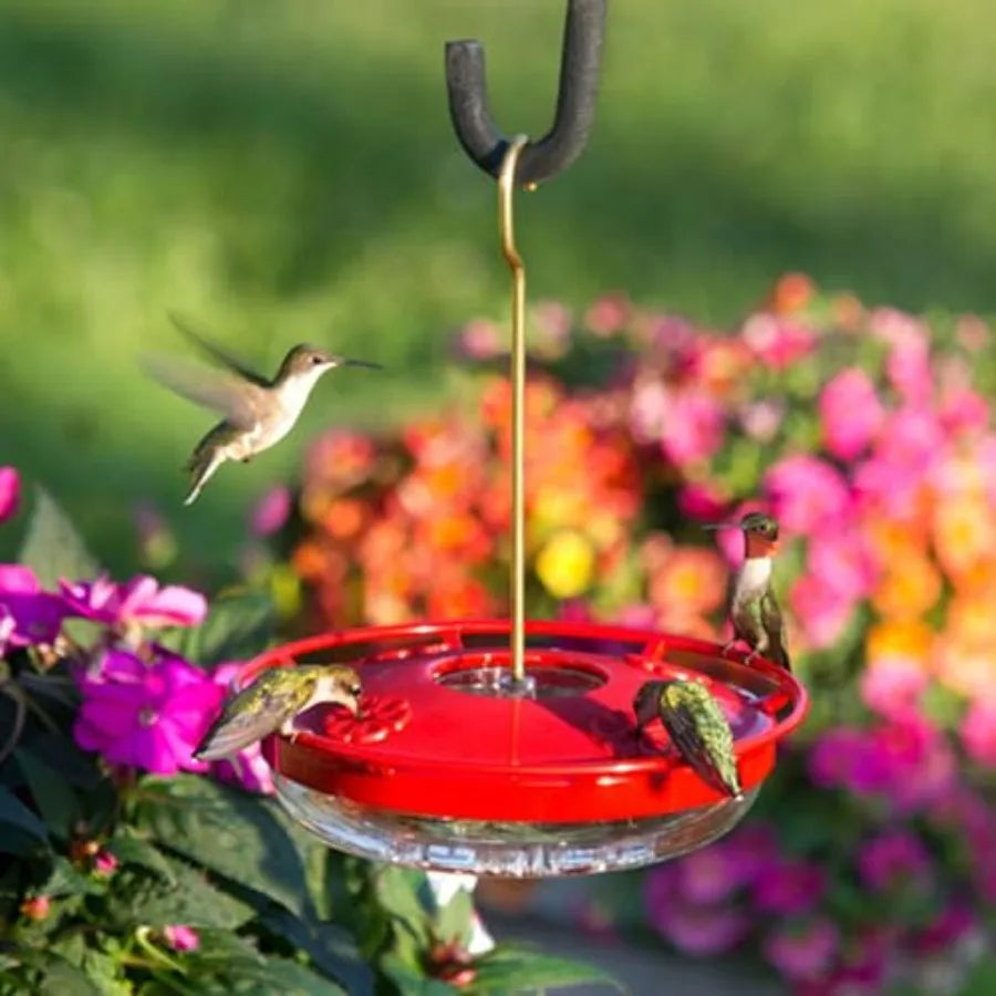 Hanging Hummingbird Feeder -  Red 12 oz Pack of 2