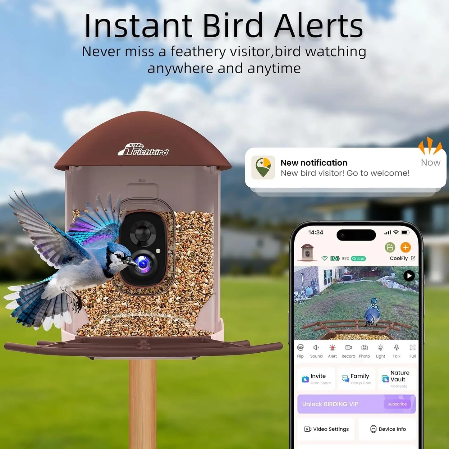 Solar Bird Feeder Camera