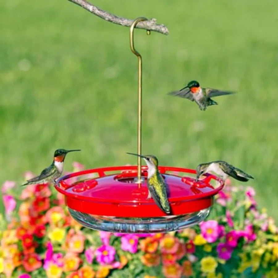 Hanging Hummingbird Feeder -  Red 12 oz Pack of 2