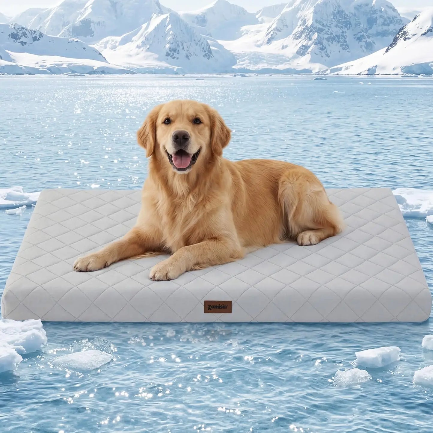 Orthopedic Cooling Dog Bed XXL 47x29in