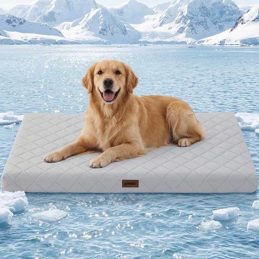 Orthopedic Cooling Dog Bed XXL 47x29in
